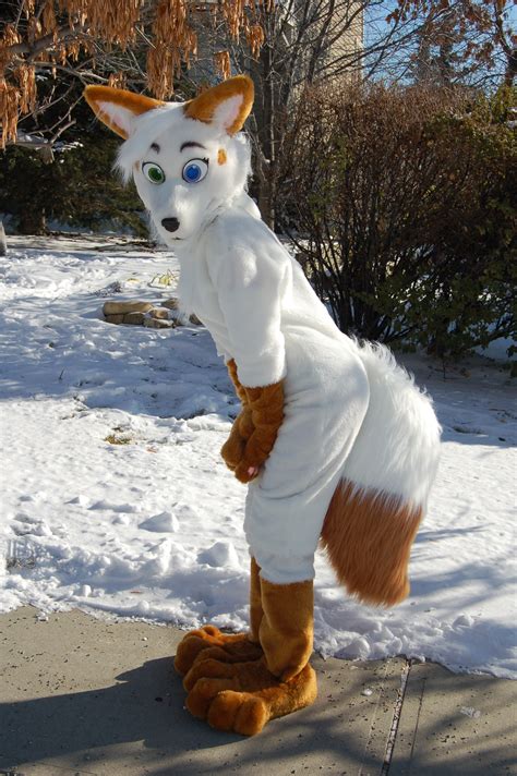 bbfurries catalog|The Fursuit Database .